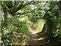 Footpath towards Seale