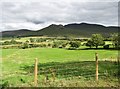 View across Bannvale to the Hen and Cock Mountains