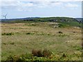 NT9637 : Looking across Broom Ridge by Russel Wills