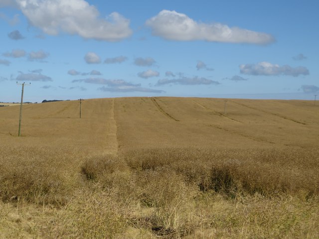 Farmland east of Hutton