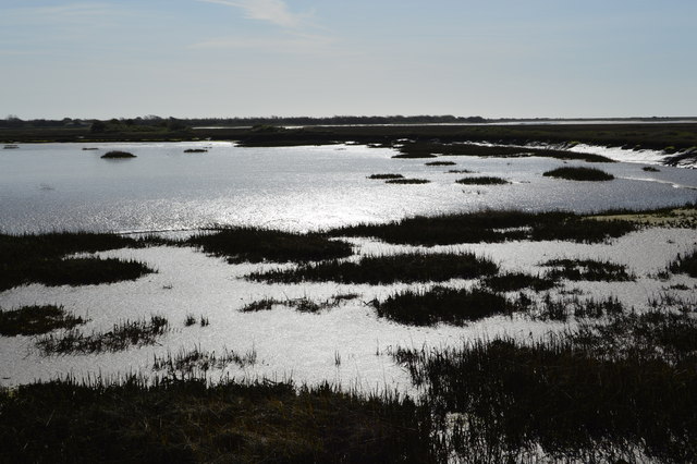 Salt Marsh, Pagham Harbour © N Chadwick :: Geograph Britain and Ireland