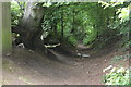 Footpath to Pen-rhiw Bengi Farm