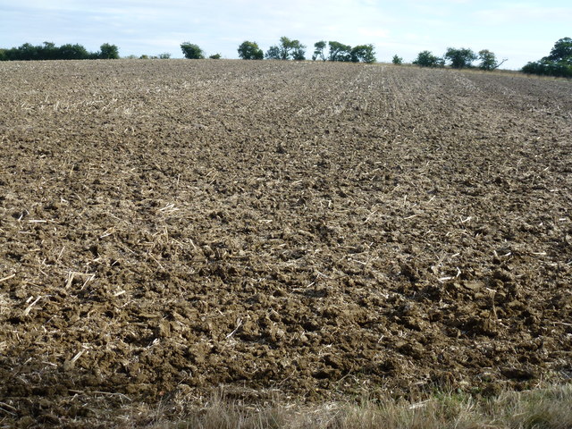 Cultivated field of rape stubble near Polebrook