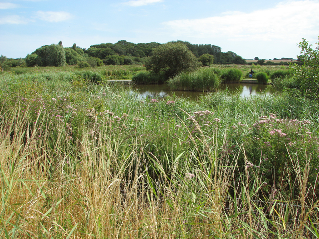 Fishing lakes at Martham Pits © Evelyn Simak cc-by-sa/2.0 :: Geograph ...