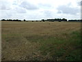 Stubble field near Langford