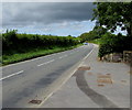 SN1220 : Road north from Clunderwen to Llandissilio by Jaggery