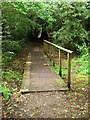 Footbridge, Scrase Valley Nature Reserve