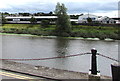 Across the River Towy, Carmarthen