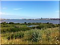 Port Sunlight River Park