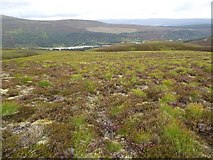 NN8692 : On ridge west of Druim nam Bo above Glenfeshie by ian shiell