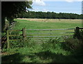 Field entrance and footpath, Titmore Green