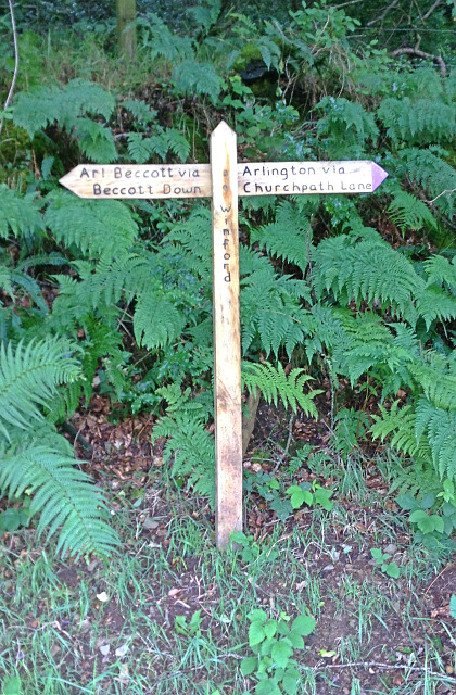 Guide post in Winford Plantation