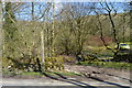 Footpath to Malham Beck