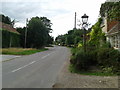 Road into North Curry