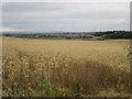 View towards South Anston