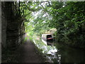 Chesterfield Canal - Umnyama at rest