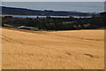 Teignbridge : Countryside Scenery