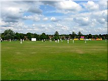 TQ3425 : Cricket Match, Lindfield Common by Simon Carey