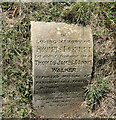 Memorial to Private Thomas Foskett Walker