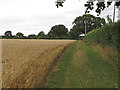 TL9238 : Footpath to East Farm on wheat field margin, Assington by Roger Jones