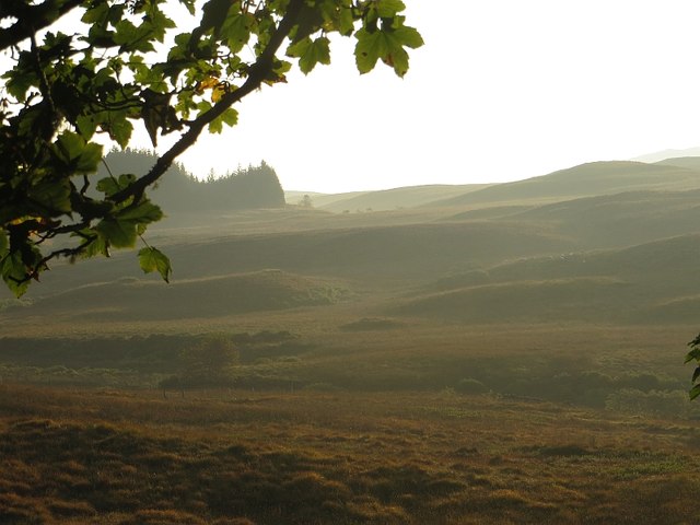 Moorland near Carron
