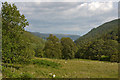 The Eunant valley below Eunant House