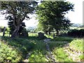 Llwybr ceffyl Groes / Groes bridleway