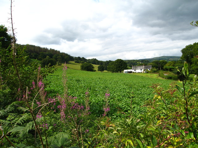 Fields beside Cefn-yr-iwrch fawr