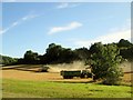 Harvesting  a  dry  crop