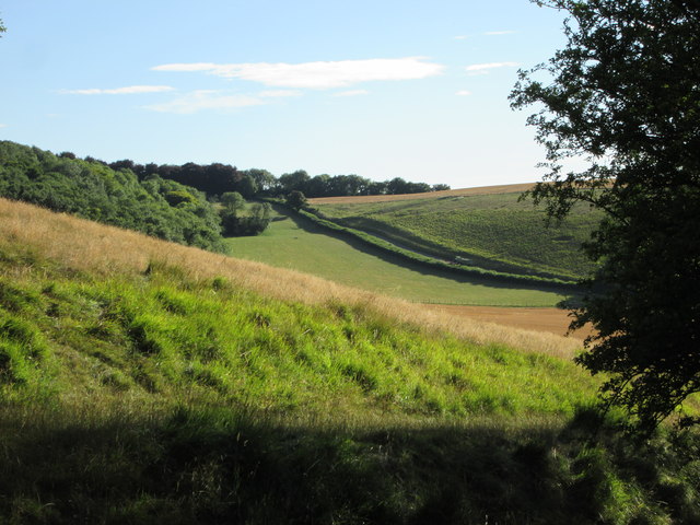 From  the  edge  of  Hurst  Wood  toward  Wye  Down