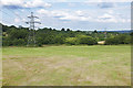 View across Farnham Park