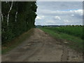 Footpath towards Beeston (Greensand Ridge Walk)