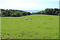 Farmland at Kirkdale Glen