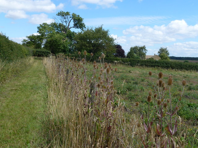 Fenced footpath near Southorpe