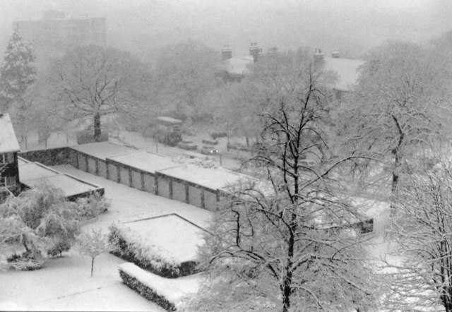 Snowstorm view from Raleigh Court, Lymer Avenue over Dulwich Wood Park, 1981