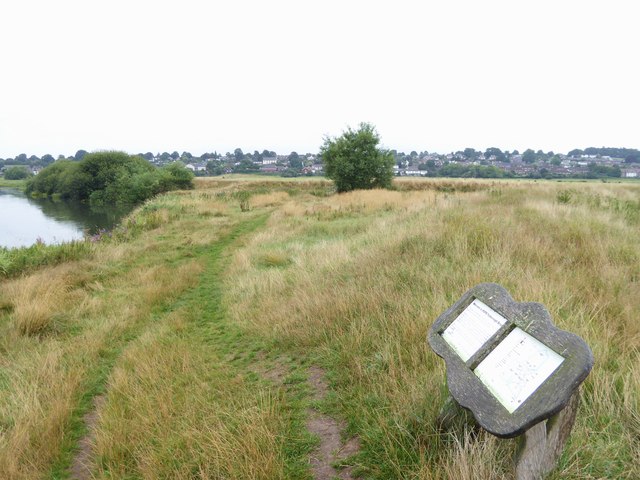 Looking northwards from information board at Pulborough Brooks