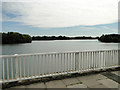 Alton Water reservoir from Lemon