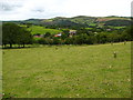 Grazing land surrounding Fachlwyd Ucha