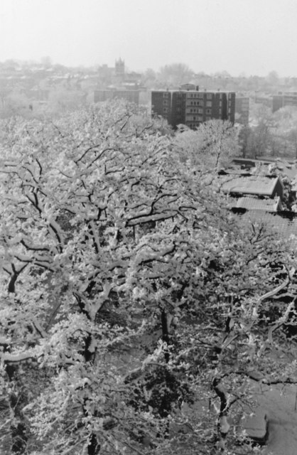 Snowstorm view from Raleigh Court, Lymer Avenue, 1981