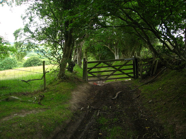 Green Lane on the Clwydian Way