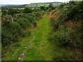 Green lane footpath