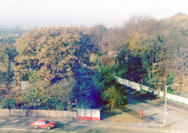 Autumn view north from Raleigh Court, over Dulwich Wood, 1982