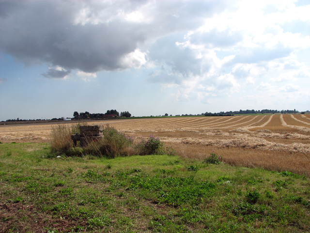 Harvested field by Repps
