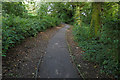 Path, Farnham Park 