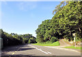 Bus stop at Wenallt entrance