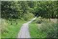 Footpath, Farnham Park