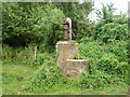 TQ9388 : Old pump, Little Wakering by Robin Webster