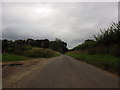 Looking North up Church Road, Great Barton