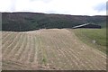 Haymaking, Invernaver