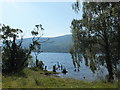 Tree stumps on the shore of Loch Rannoch